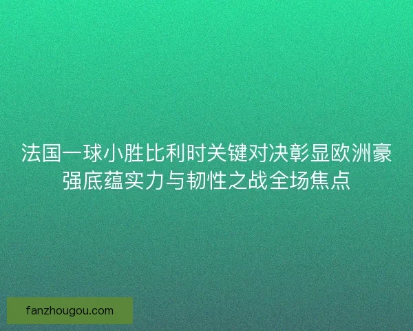 法国一球小胜比利时关键对决彰显欧洲豪强底蕴实力与韧性之战全场焦点