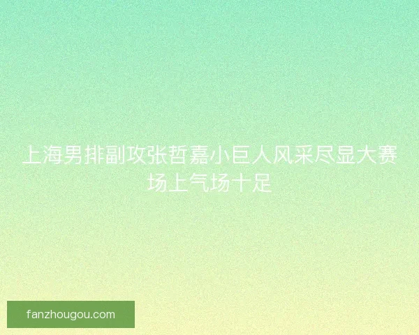 上海男排副攻张哲嘉小巨人风采尽显大赛场上气场十足 上海男排副攻张哲嘉小巨人风采尽显大赛场上气场十足