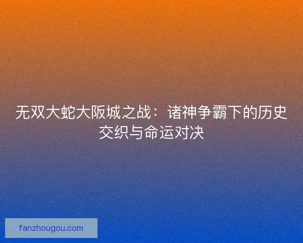 无双大蛇大阪城之战：诸神争霸下的历史交织与命运对决